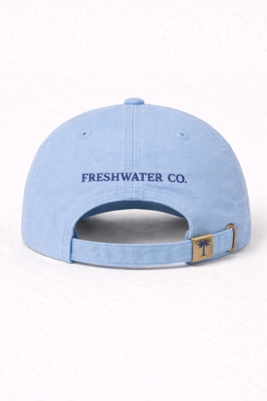 Freshwater Co. Classic Palm Cap