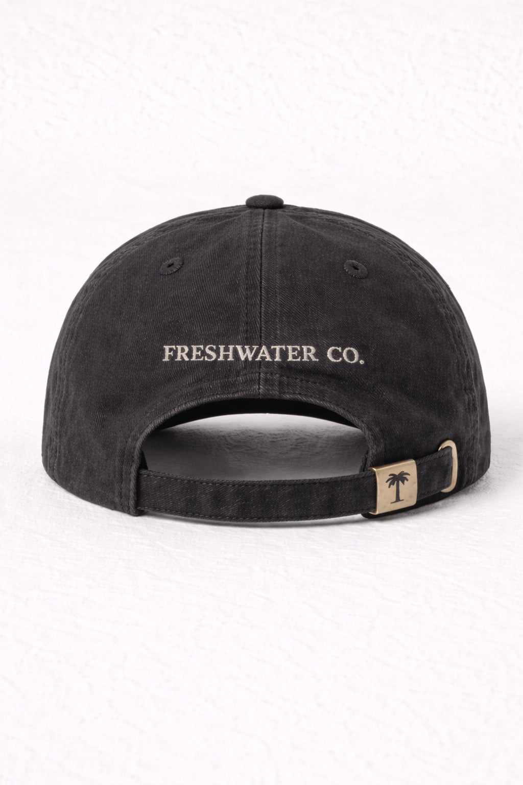 Freshwater Co. Classic Palm Cap